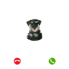 Moustache my Boss