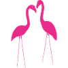 Flamingo Pink Beauty