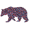 Bearlin