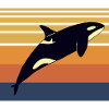 killer whale