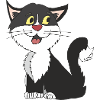 cat black white