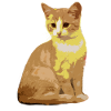 Cats Cat