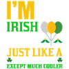 Irischer Mädchen Geschenkidee Lustig