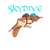 Wingsuit Skydive Squirrel Skydiver