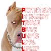 PITBULL