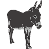 donkey