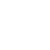 Salamandre