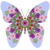 butterfly and flowers