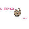 Sleeping Beauty - Leopard