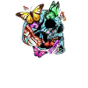 Butterfly Butterfly