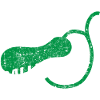 OP Gallbladder Removes Bile