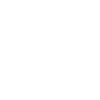 Spinone Italiano Head "Black Edition"