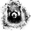 Roter panda,Graffiti,Malerei,pandabär, bär,schwarz
