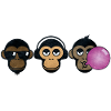 Three Monkey's