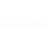 MISS PRINCESS