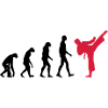 Karate - Evolution