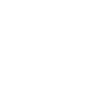 Little Brother