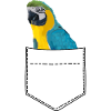 Pectoral Perroquet Ara