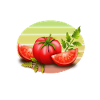 Tomaten Flüsterer