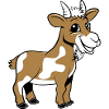 Goat moaning smiles