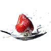 Splash