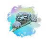 sloth