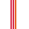 Stripes Design