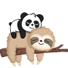 Lazy panda on sloth