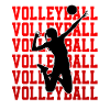 Beach Volleyball Volleyballerin Volleyballer