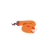 Dog agility physics, agility dog