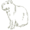 Capybara