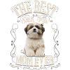 Shih Tzu -