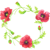 Flowers wreath spring wedding poppy