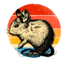 Degu