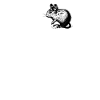 Degu Heartbeat