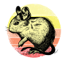 Degu Silhouette