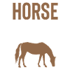 Horses Mom