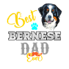 Berner Sennenhund