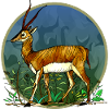 Antelope