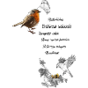 Rotkehlchen