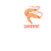 x SHRIMP x