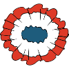 French Cocarde - revolution and republic