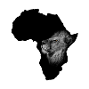 Afrique lion