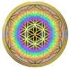 Flower of Life - Iriding Gold