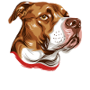 Pitbull Bull chien chien