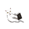 IT Techniker Katze Programmierer Techie