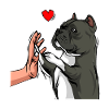 American Bully amour chiens Maman