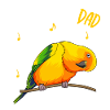 Perruche papa oiseau amoureux