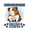 Meerschweinchen Papa