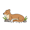 Wiesel Spruch: Did Someone Say Weasel?